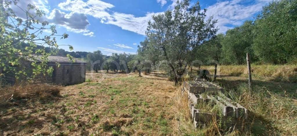 immagine annuncio 9 di 14