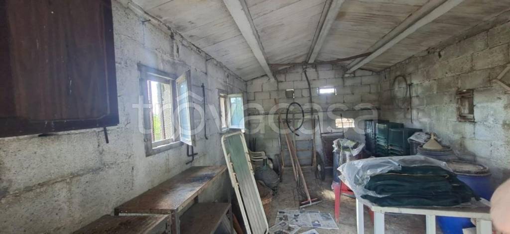 immagine annuncio 10 di 14