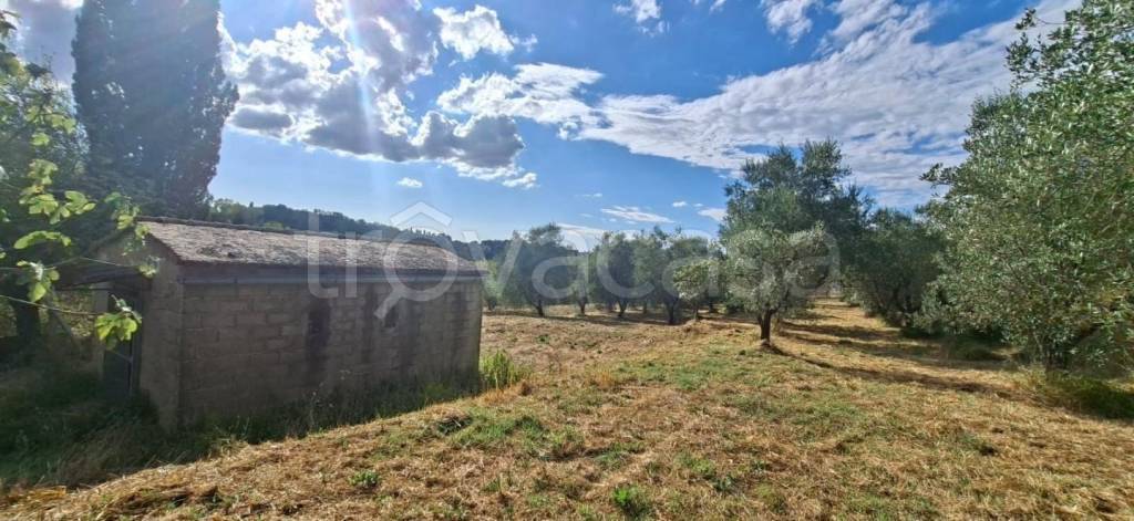 immagine annuncio 12 di 14