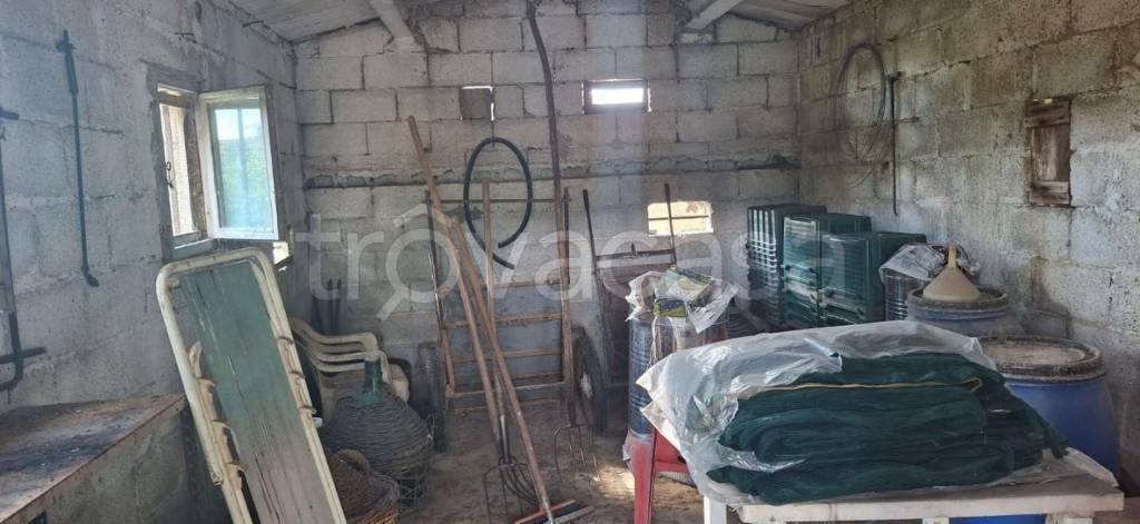 immagine annuncio 13 di 14