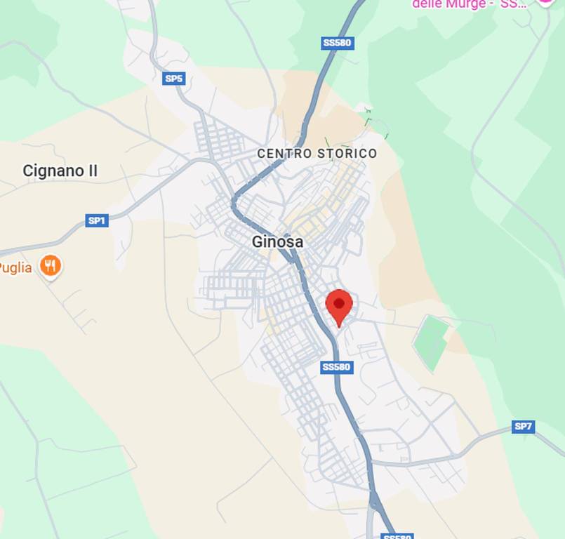 immagine annuncio 3 di 11