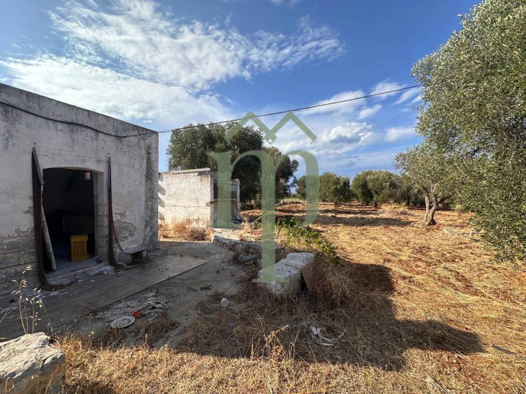 immagine annuncio 1 di 11