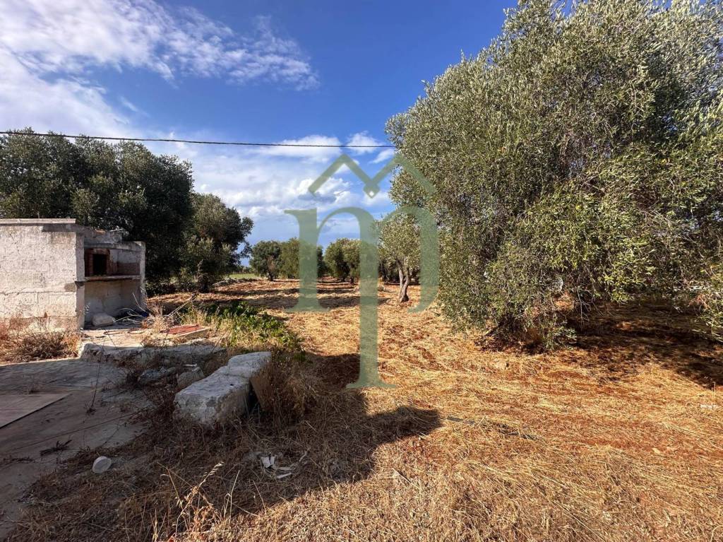 immagine annuncio 2 di 11