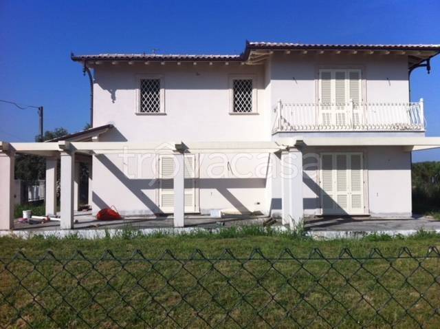 immagine annuncio 6 di 7