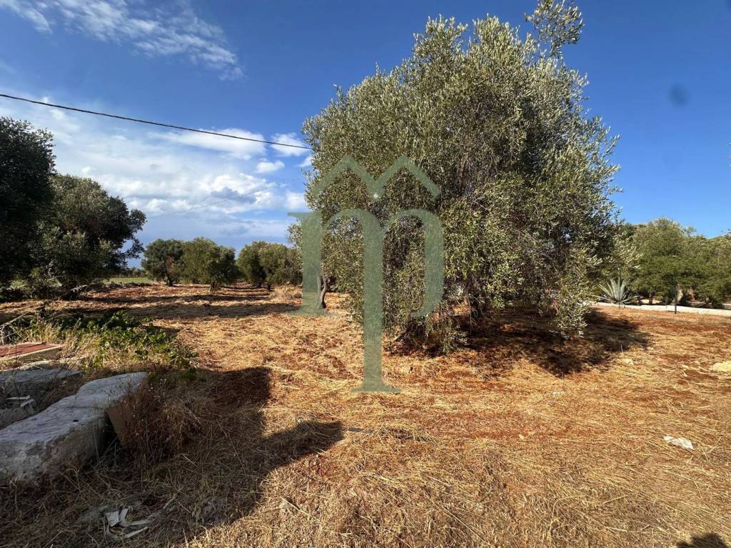 immagine annuncio 6 di 11