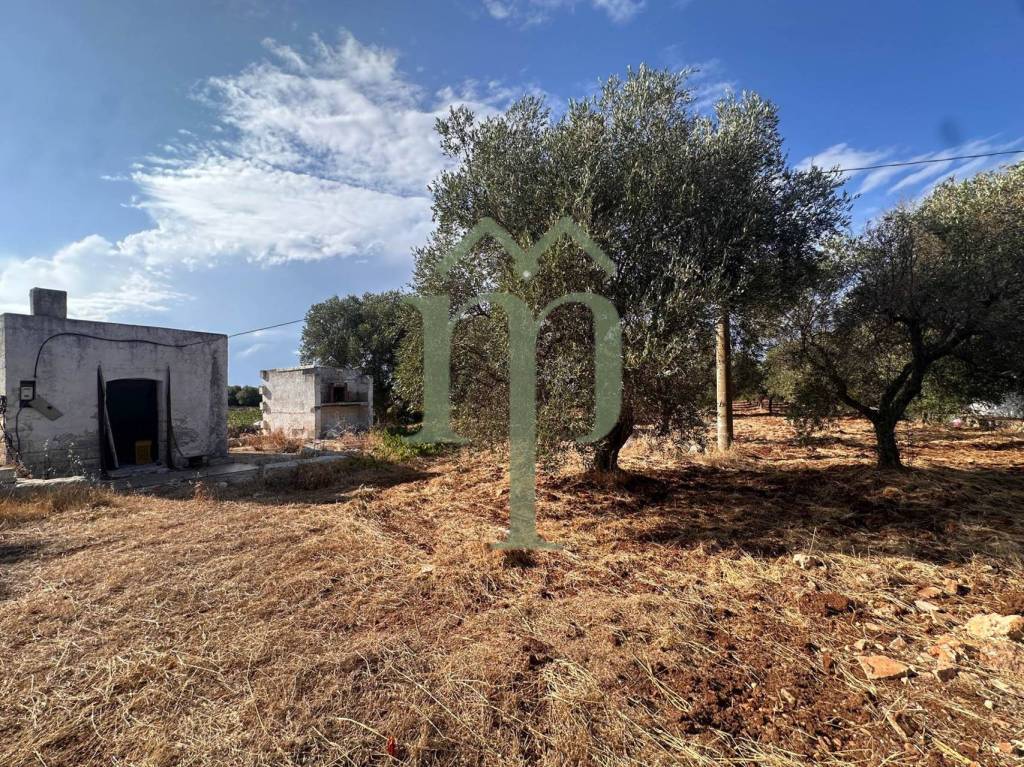 immagine annuncio 7 di 11