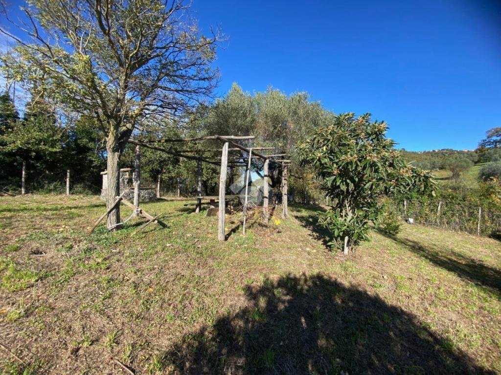 immagine annuncio 4 di 13