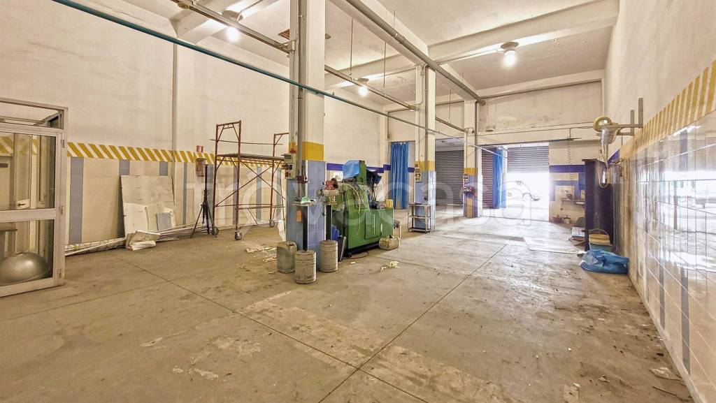 immagine annuncio 9 di 15