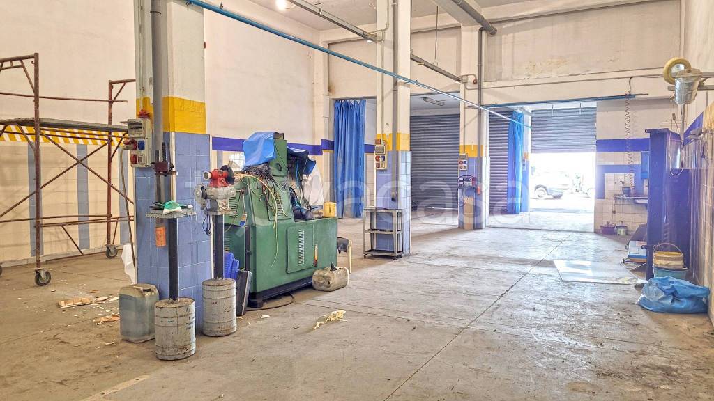 immagine annuncio 10 di 15