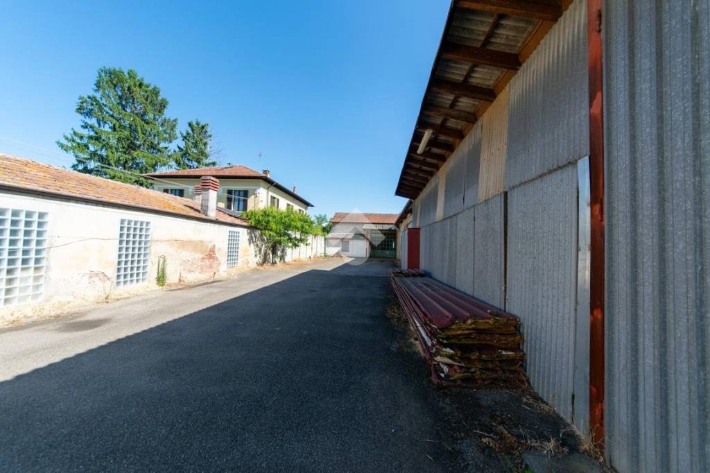 immagine annuncio 11 di 15