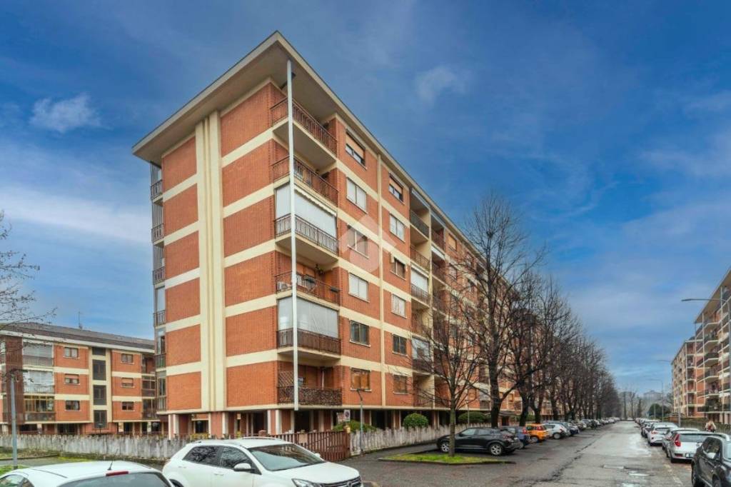 immagine annuncio 12 di 13