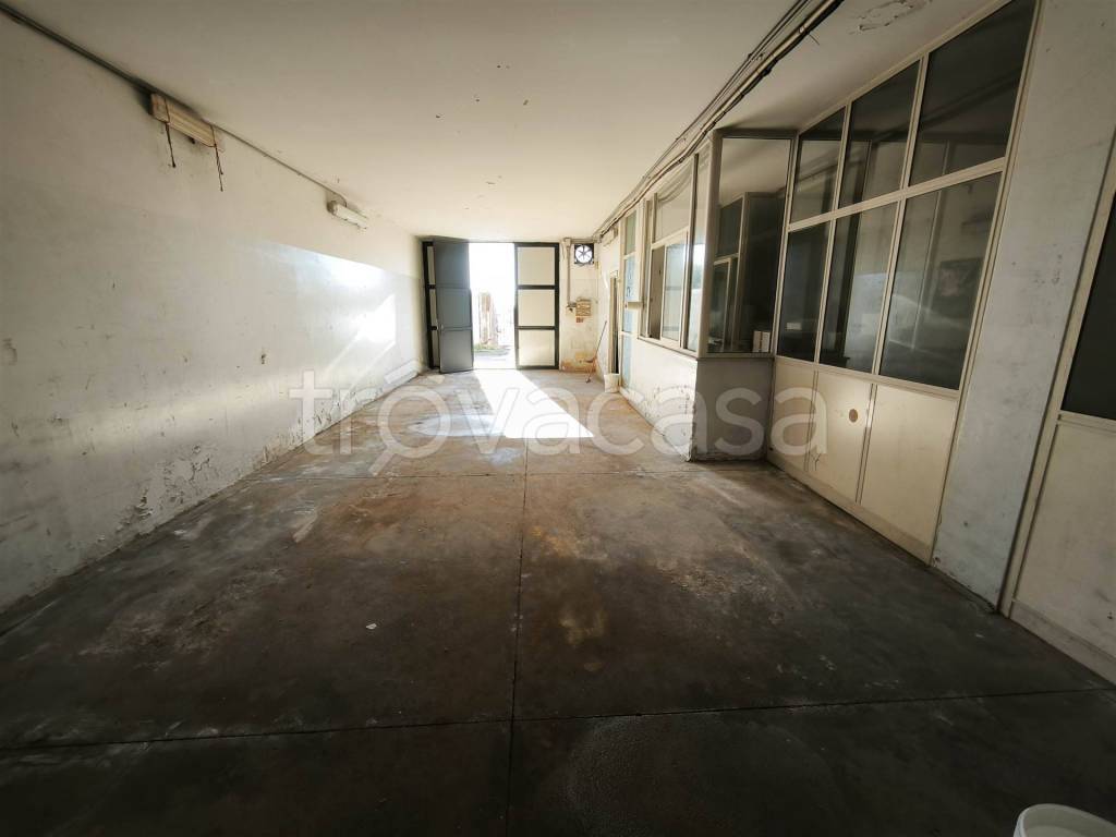 immagine annuncio 6 di 12