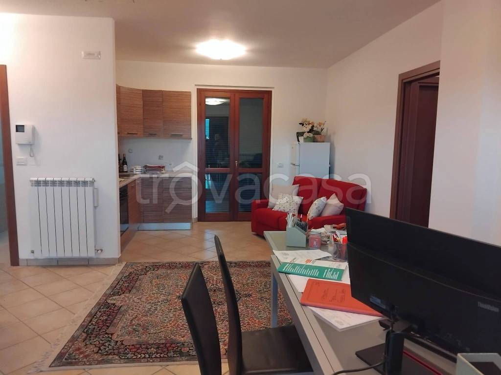 immagine annuncio 4 di 11