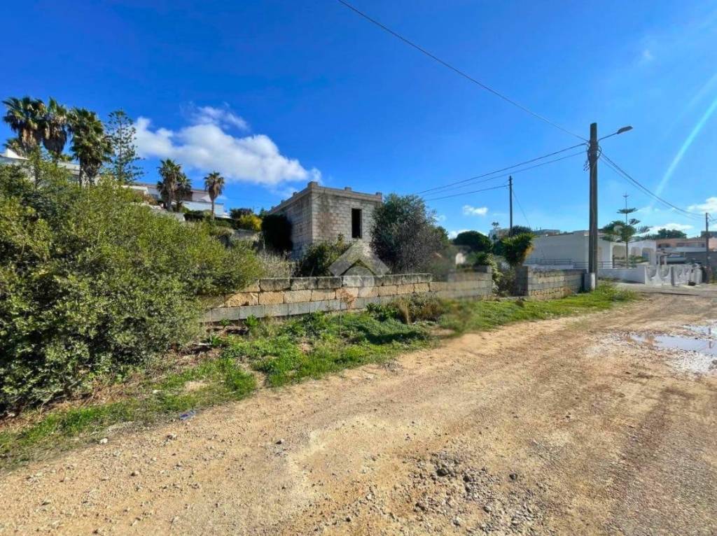 immagine annuncio 2 di 14