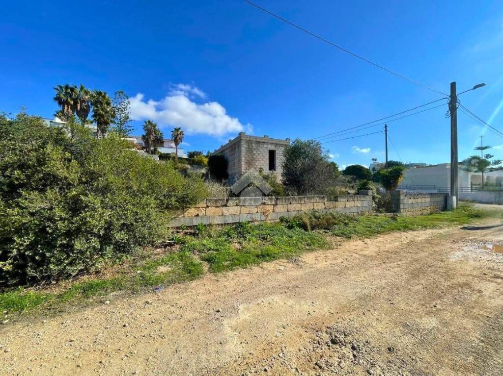 immagine annuncio 3 di 14