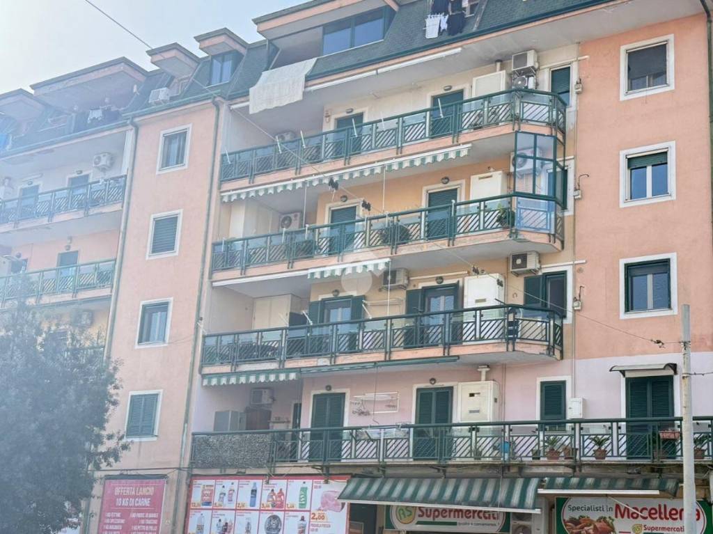 immagine annuncio 11 di 13