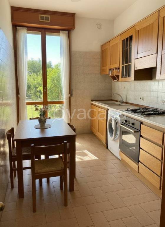 immagine annuncio 2 di 12