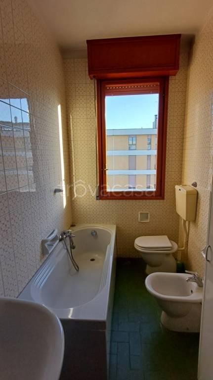 immagine annuncio 5 di 12