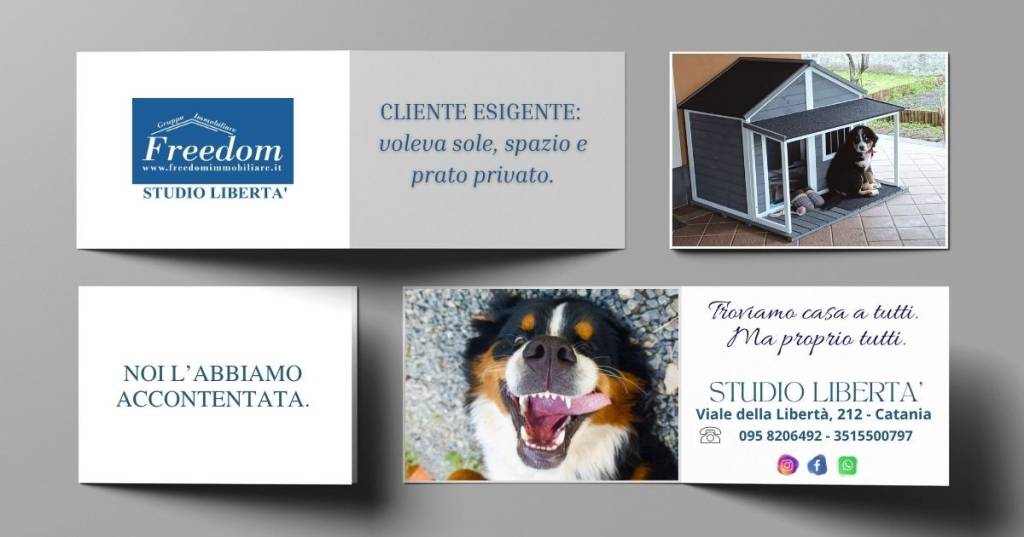 immagine annuncio 8 di 12