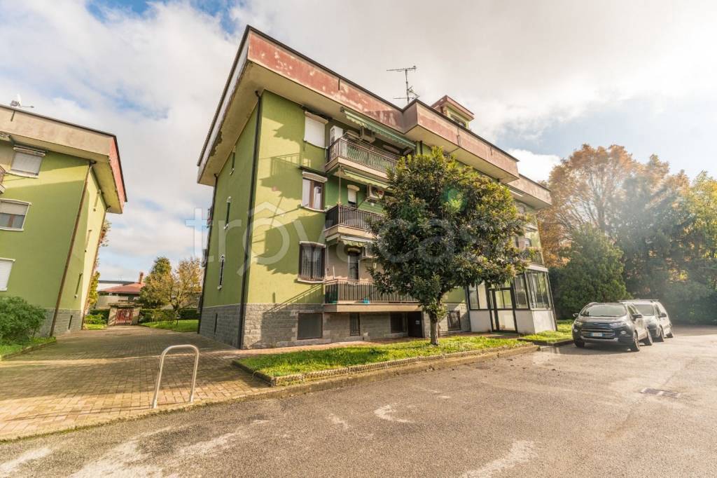 immagine annuncio 1 di 15