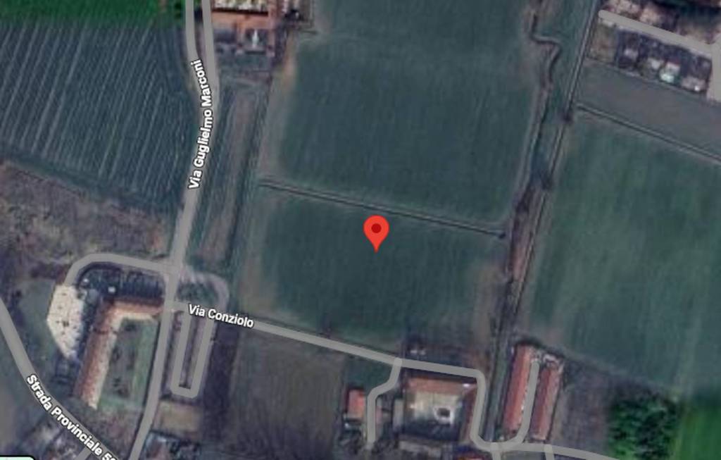 immagine annuncio 5 di 11