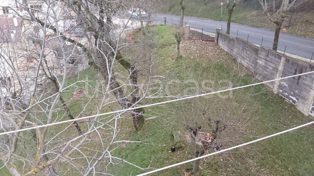 immagine annuncio 12 di 14