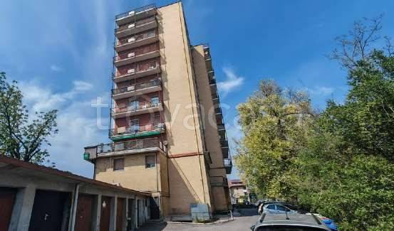 immagine annuncio 3 di 14