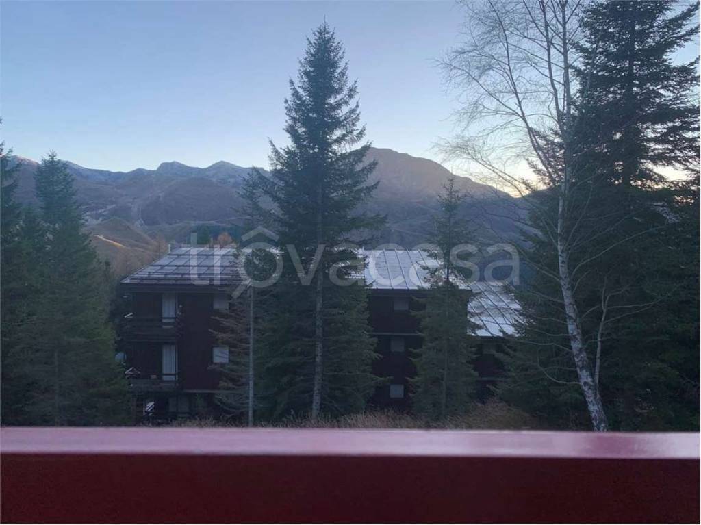 immagine annuncio 10 di 12