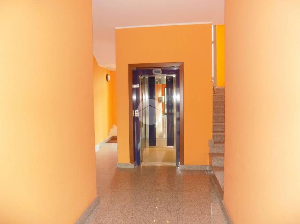 immagine annuncio 1 di 9