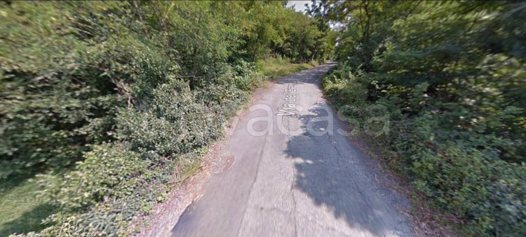 immagine annuncio 3 di 12