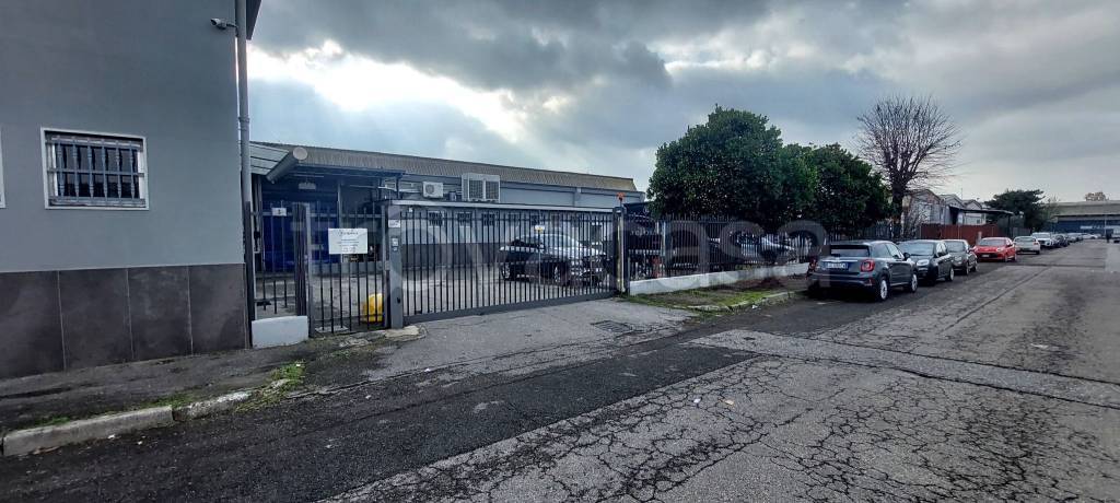 immagine annuncio 1 di 7