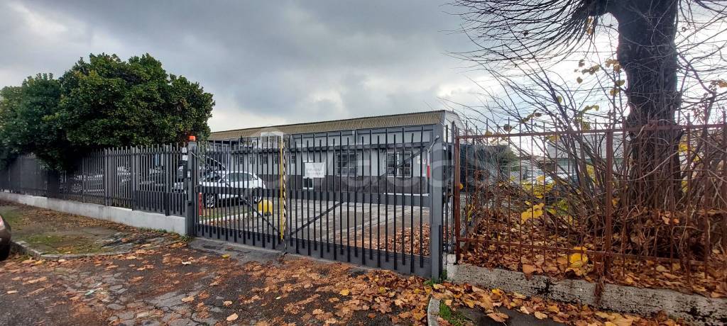 immagine annuncio 2 di 7