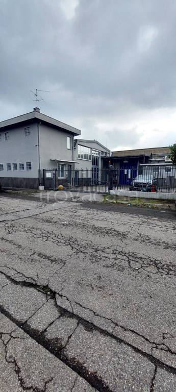 immagine annuncio 3 di 7