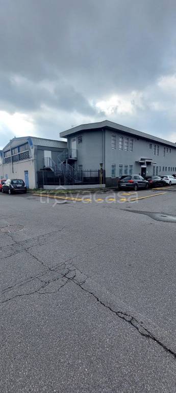 immagine annuncio 4 di 7