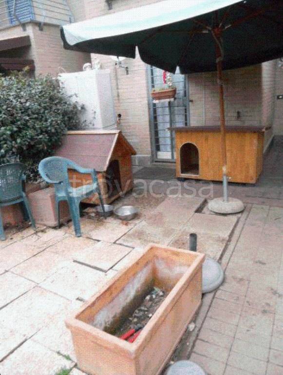 immagine annuncio 4 di 14