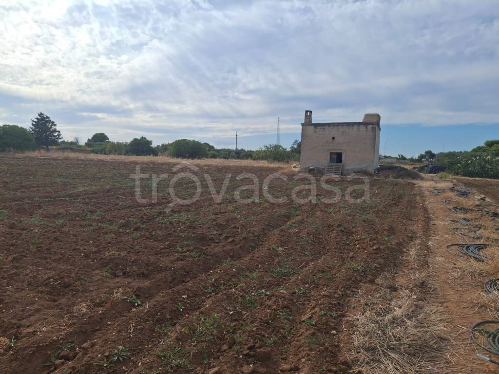 immagine annuncio 4 di 7