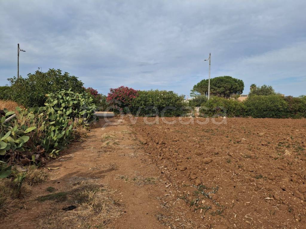 immagine annuncio 5 di 7