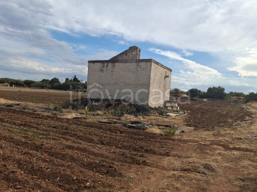 immagine annuncio 6 di 7