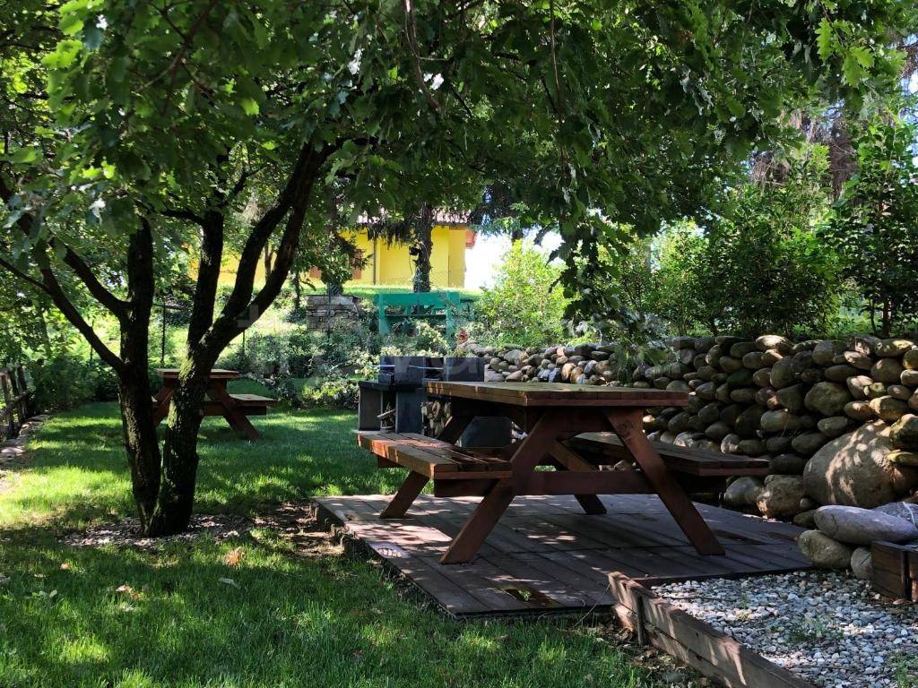 immagine annuncio 9 di 15