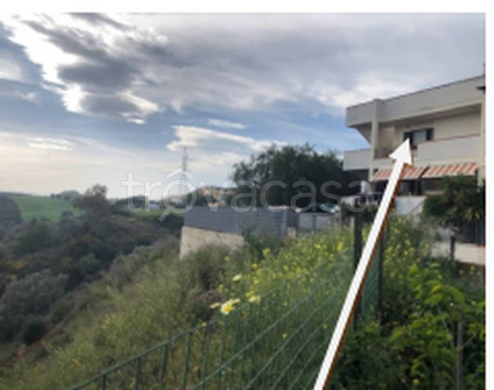 immagine annuncio 10 di 11