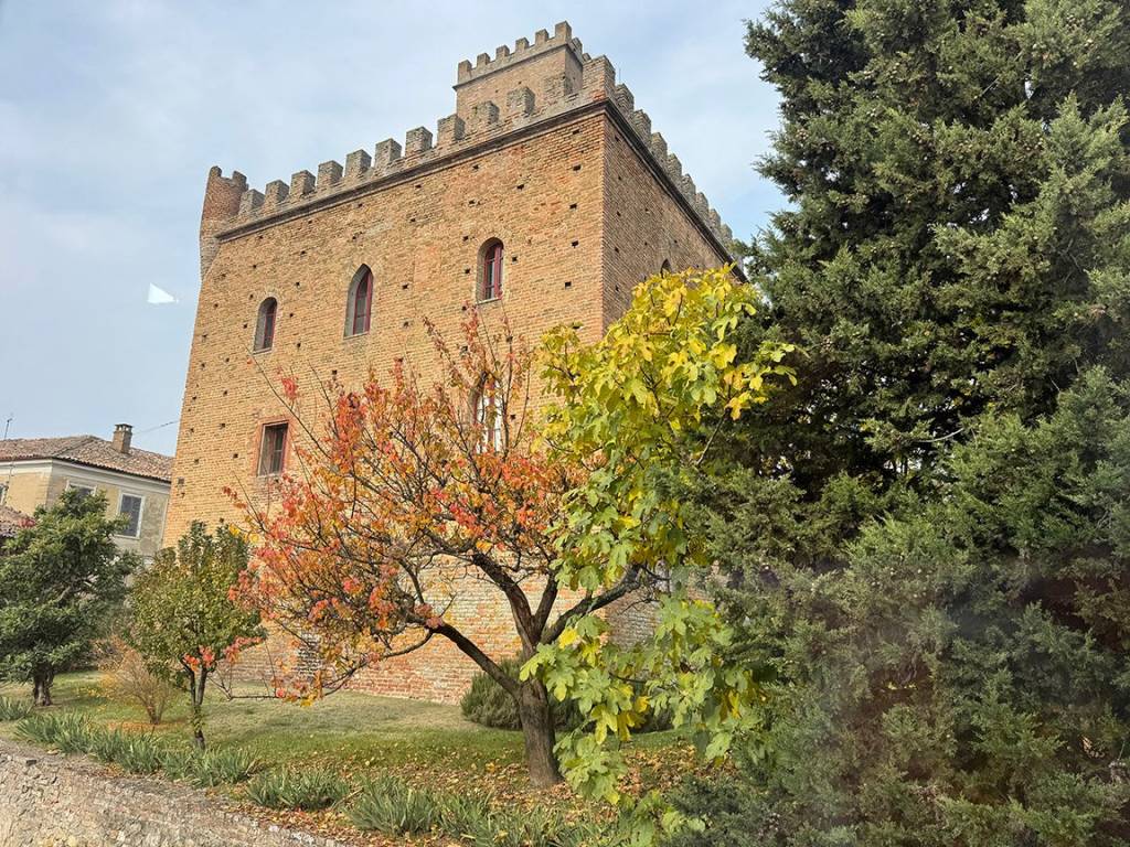 immagine annuncio 6 di 15