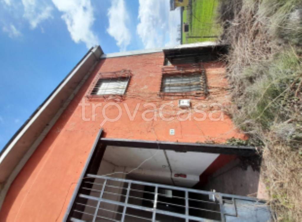 immagine annuncio 5 di 11