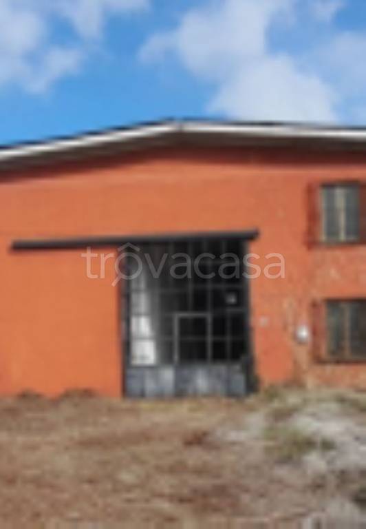 immagine annuncio 9 di 11