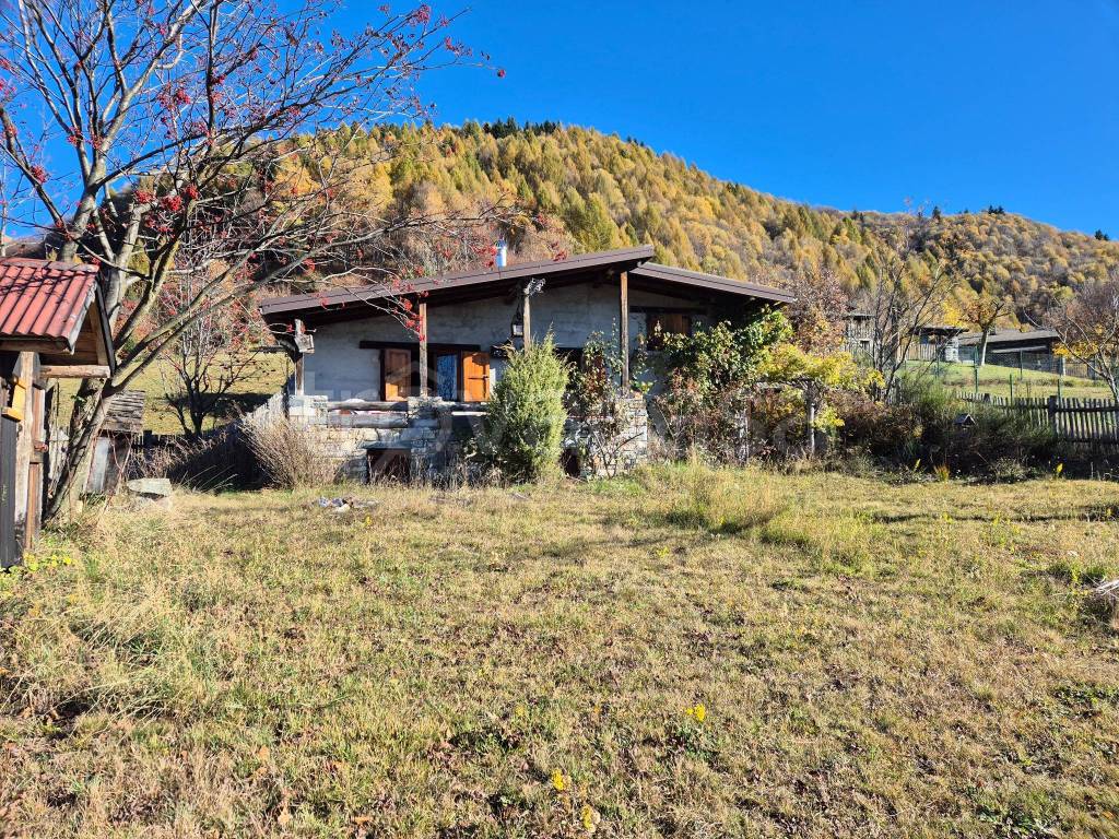 immagine annuncio 9 di 15