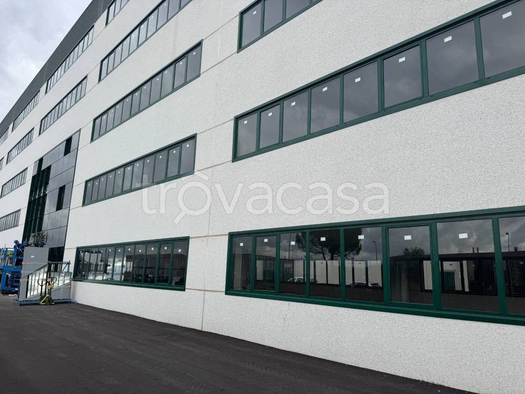 immagine annuncio 4 di 14