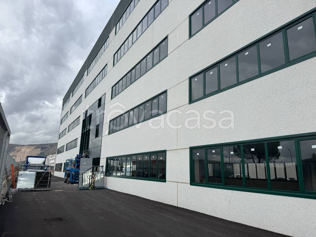 immagine annuncio 5 di 14