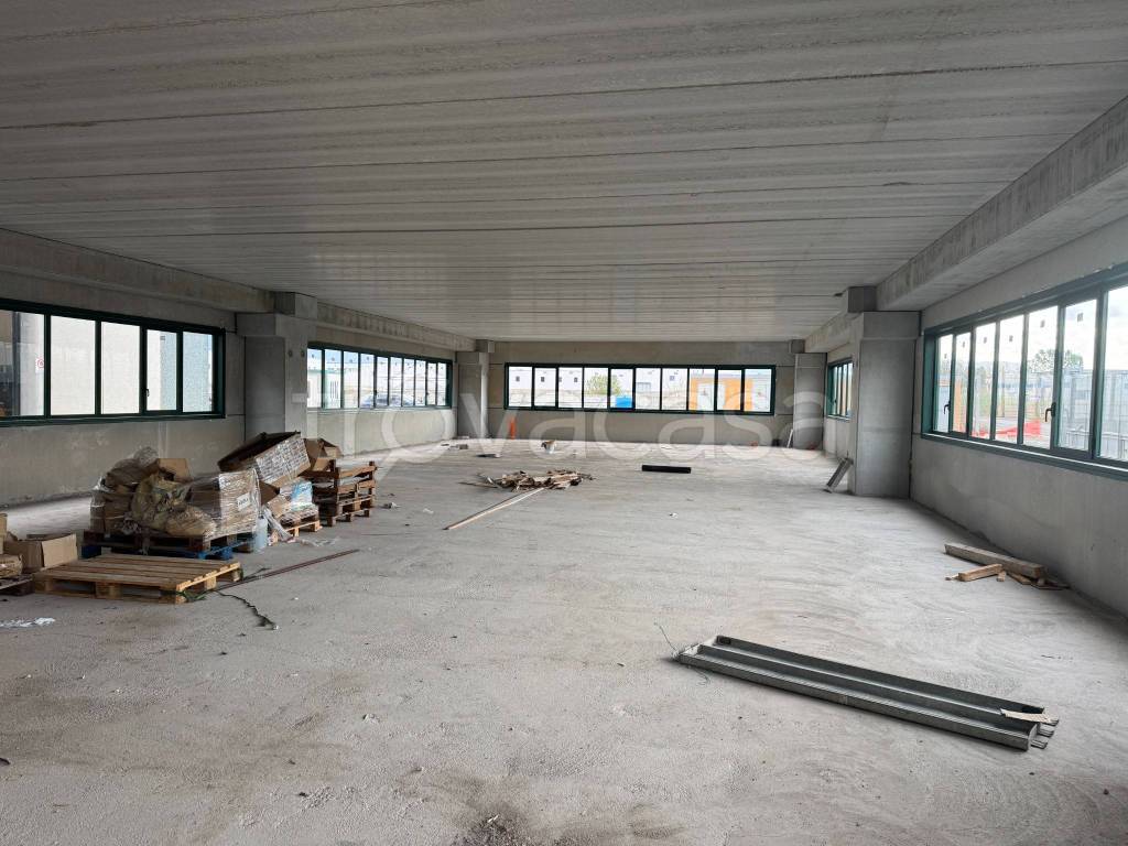 immagine annuncio 6 di 14