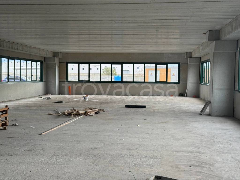 immagine annuncio 7 di 14