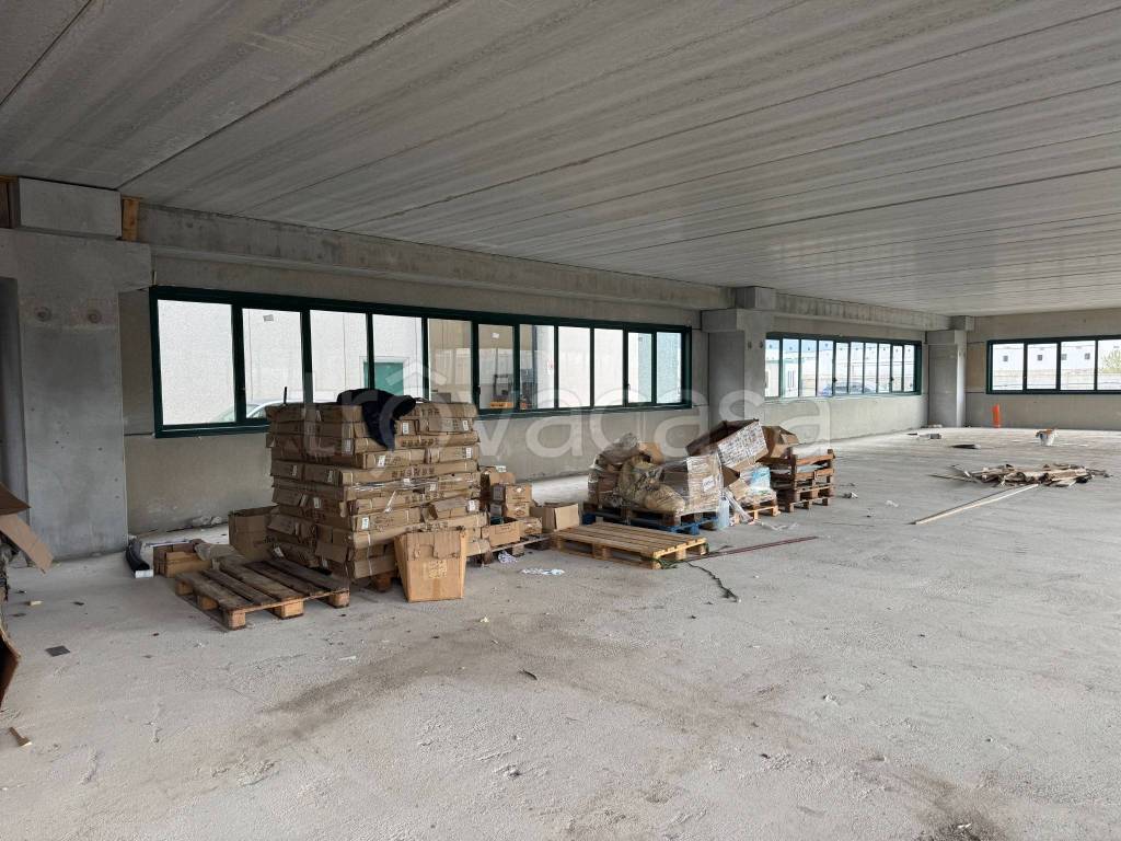 immagine annuncio 8 di 14