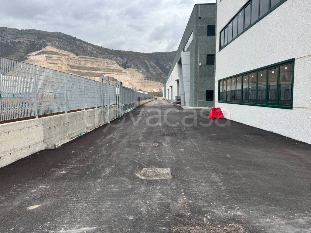 immagine annuncio 9 di 14